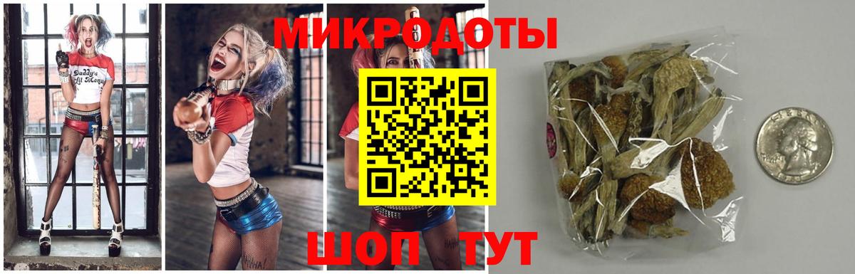 Псилоцибиновые грибы мицелий  Вход с VPN  Кимовск 